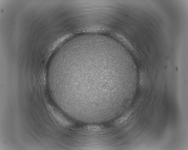 X0000067870636200604171225