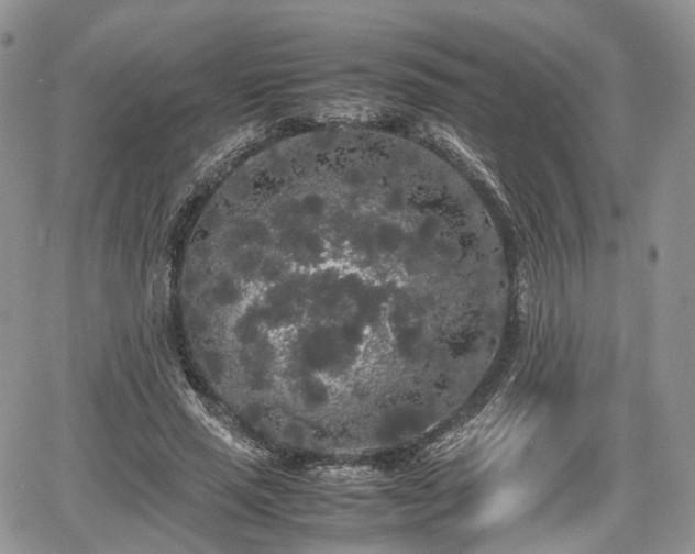 X0000067870637200604171225