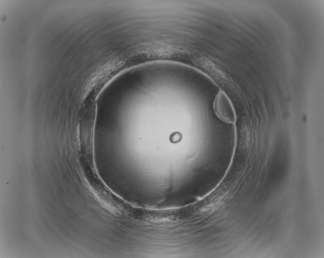 X0000067870638200604171225