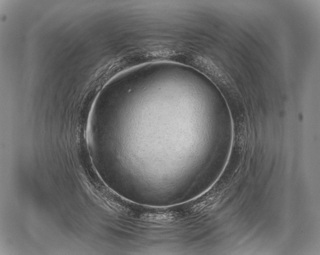 X0000067870639200604171225