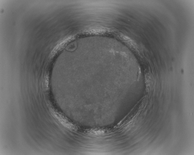 X0000067870640200604171225