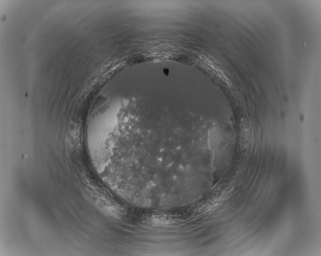 X0000067870641200604171225