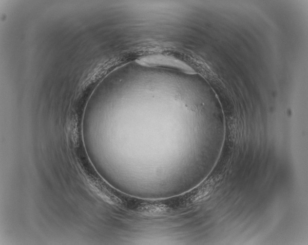 X0000067870642200604171225