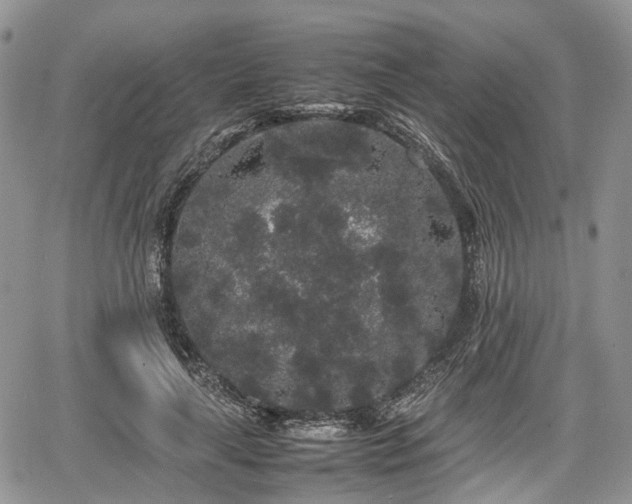 X0000067870643200604171225