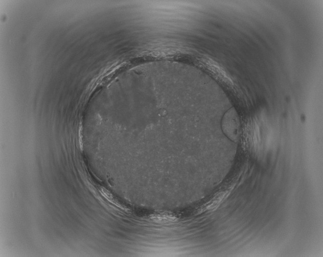 X0000067870644200604171225