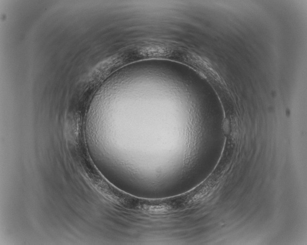 X0000067870645200604171225