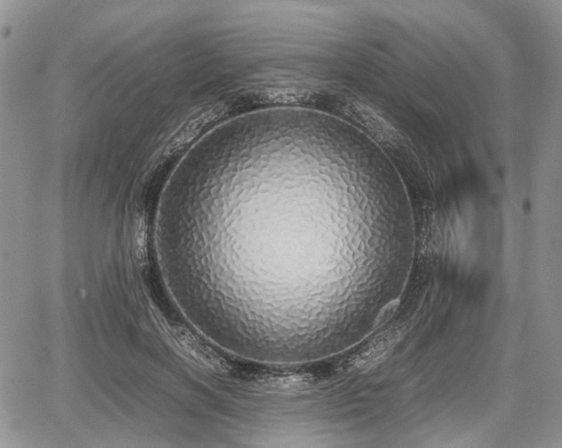 X0000067870646200604171225