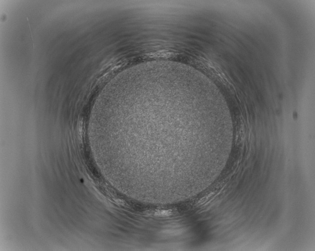 X0000067870647200604171225