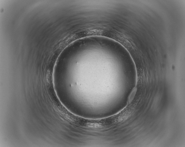 X0000067870649200604171225