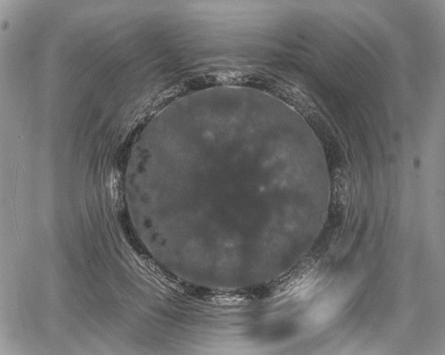 X0000067870650200604171225