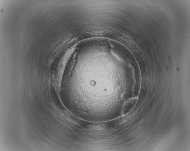 X0000067870652200604171225