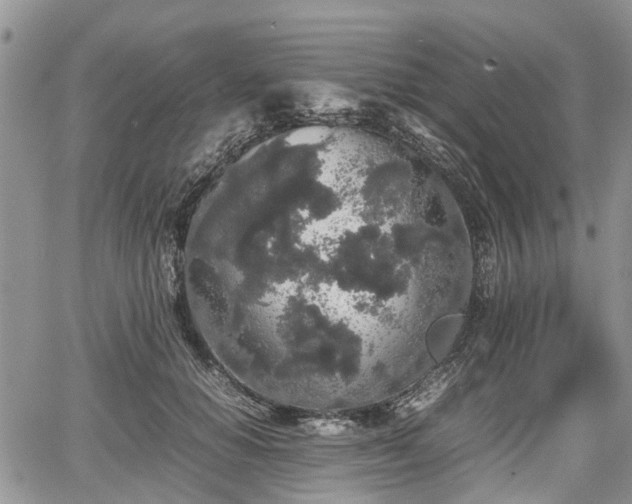 X0000067870654200604171225