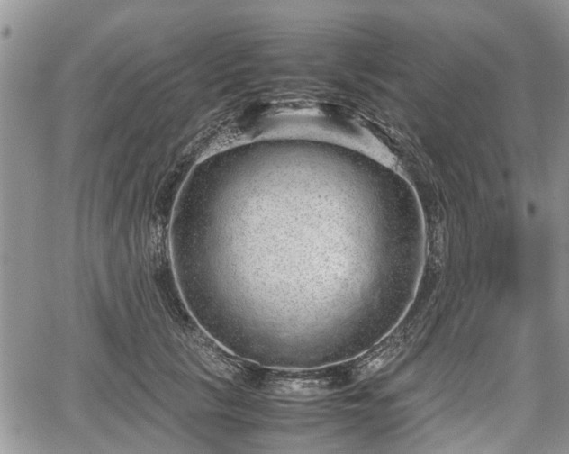 X0000067870657200604171225