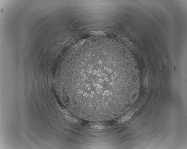 X0000067870658200604171225