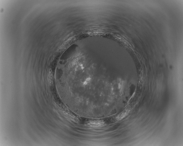 X0000067870659200604171225