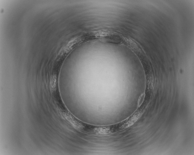 X0000067870660200604171225