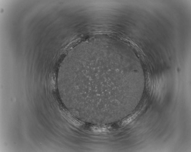 X0000067870661200604171225