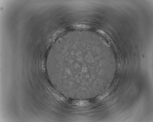 X0000067870663200604171225