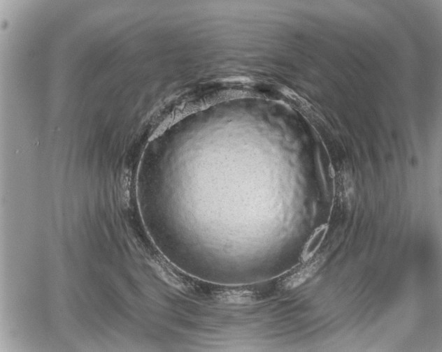 X0000067870664200604171225