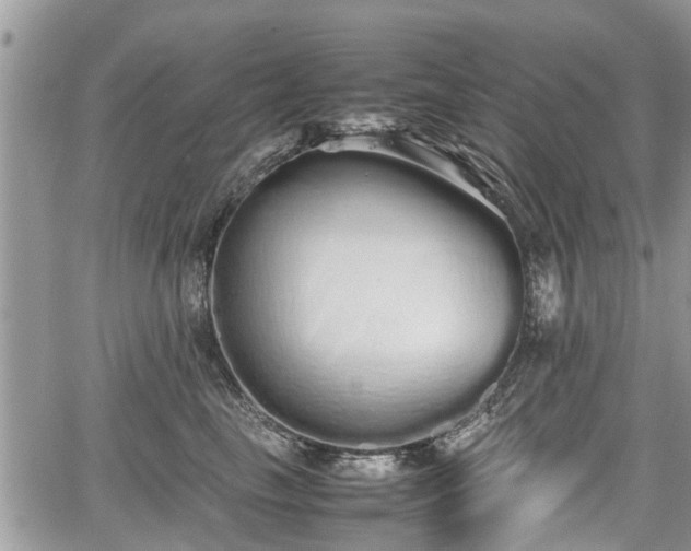 X0000067870665200604171225