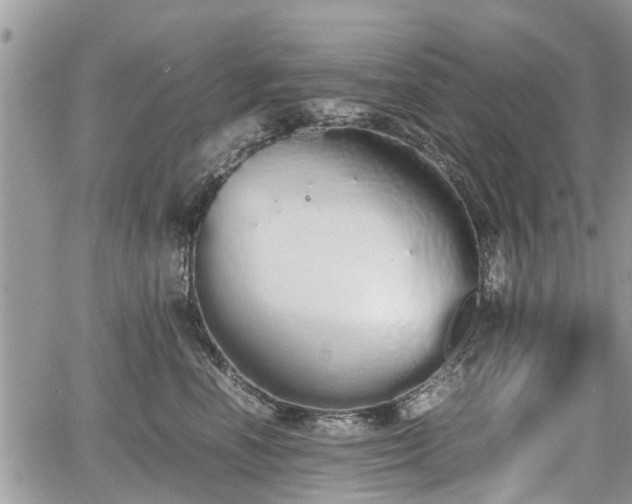 X0000067870666200604171225