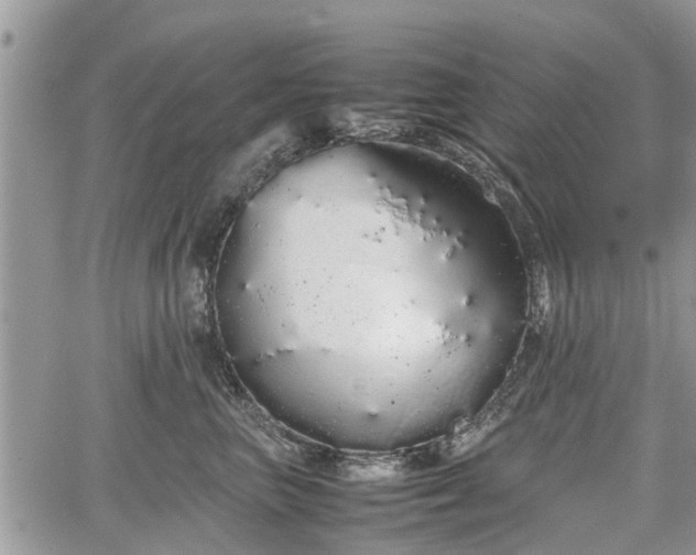 X0000067870667200604171225