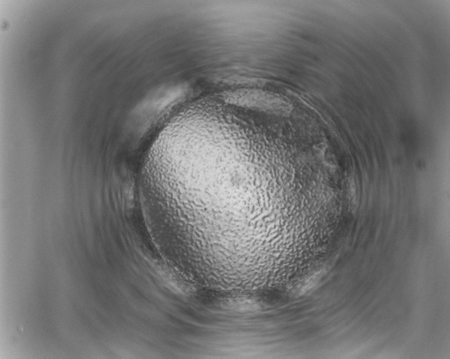 X0000067870668200604171225