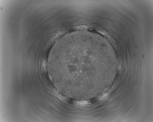 X0000067870669200604171225