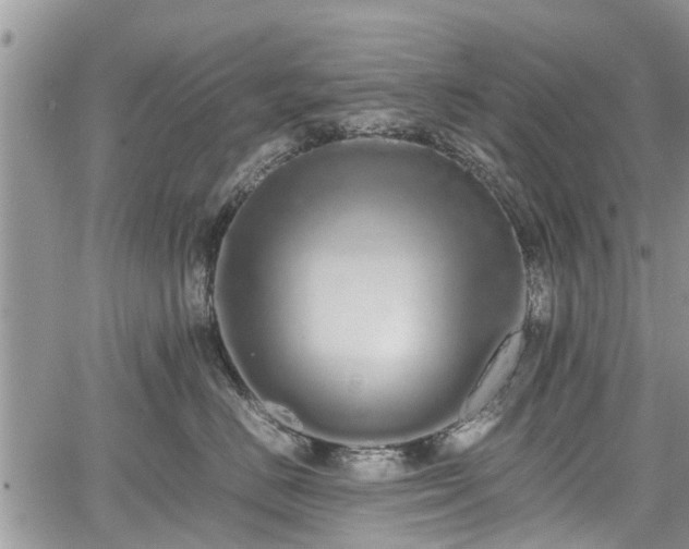 X0000067870670200604171225