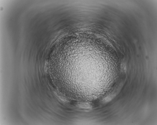 X0000067870671200604171225