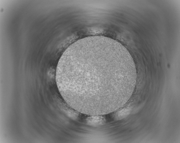 X0000067870672200604171225