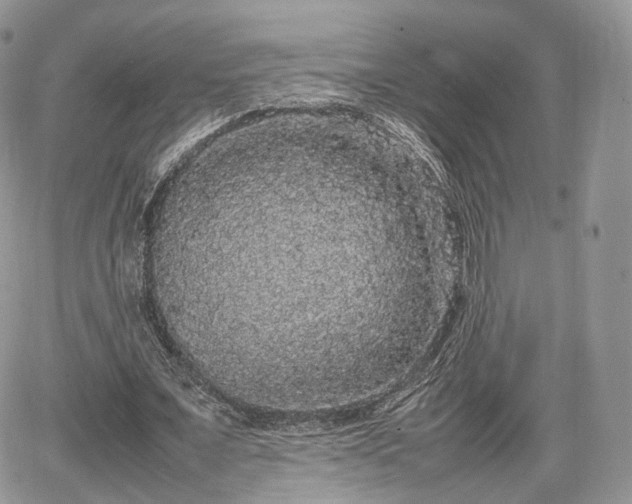 X0000067870675200604171225