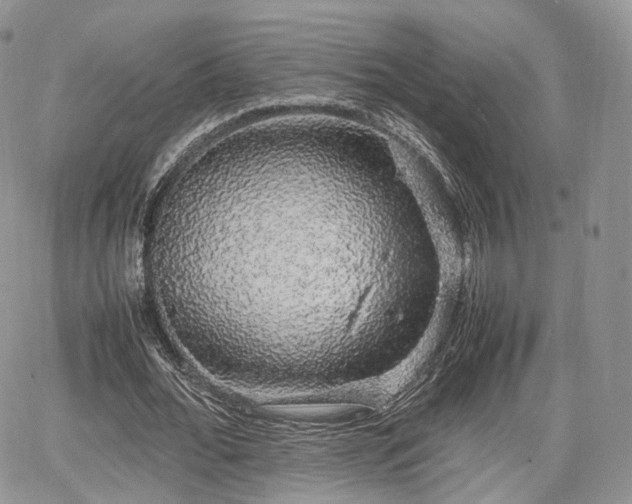 X0000067870676200604171225