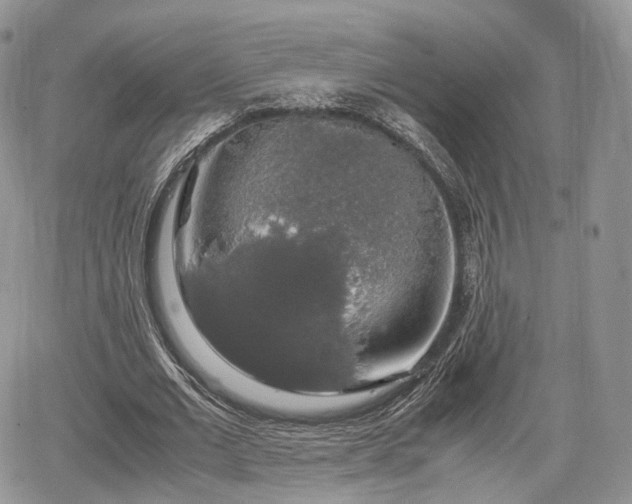 X0000067870677200604171225