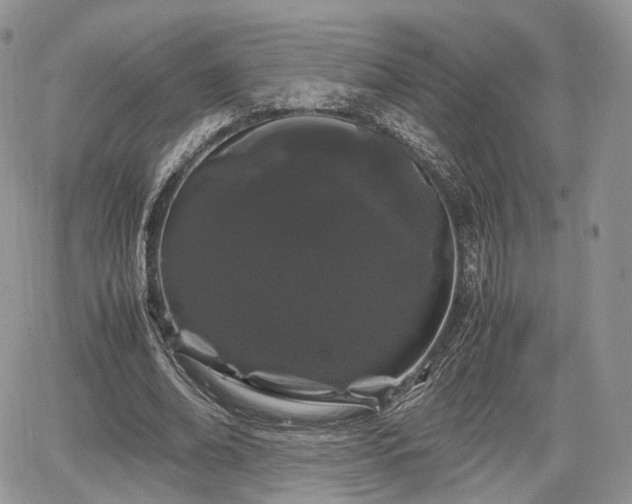 X0000067870678200604171225