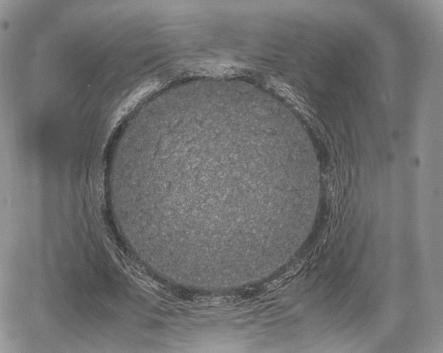 X0000067870679200604171225