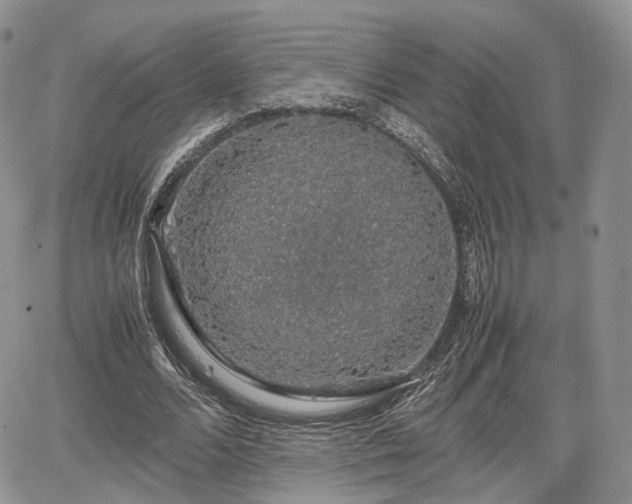 X0000067870680200604171225