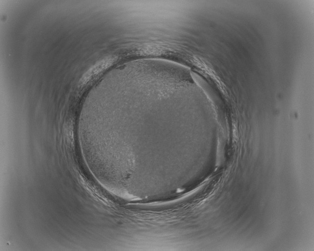 X0000067870681200604171225