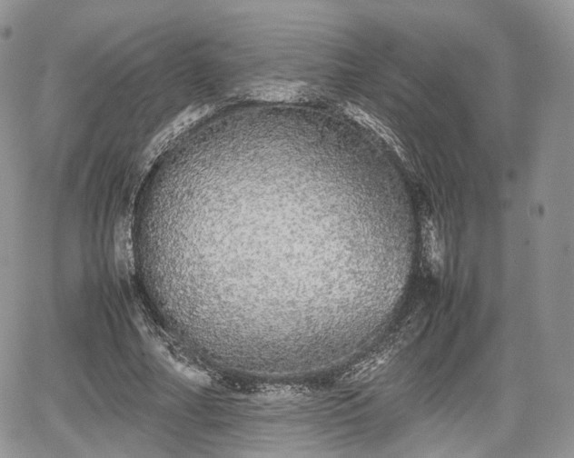 X0000067870682200604171225