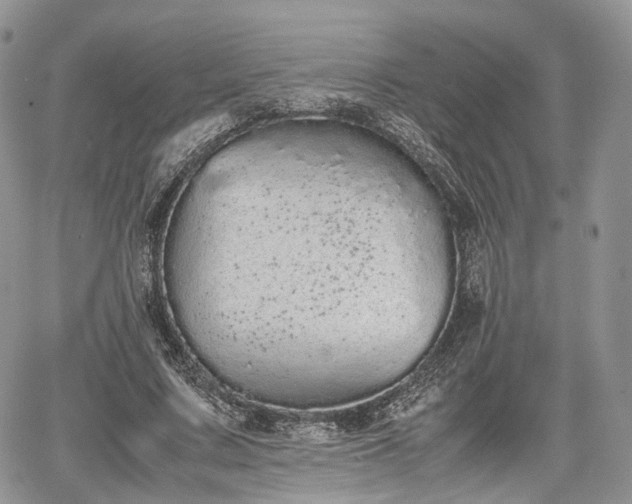 X0000067870683200604171225