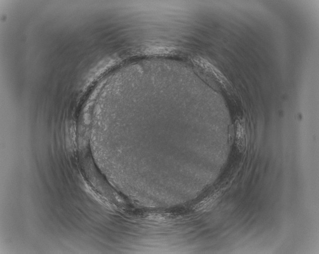 X0000067870684200604171225