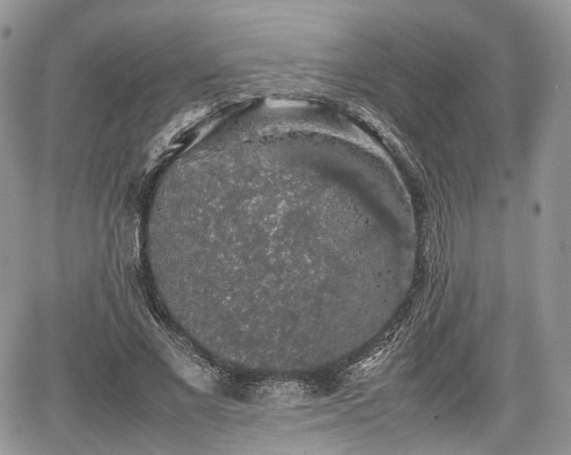 X0000067870685200604171225