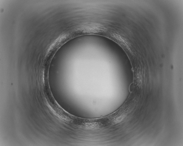 X0000067870686200604171225