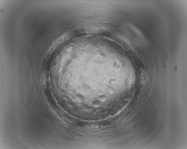 X0000067870687200604171224