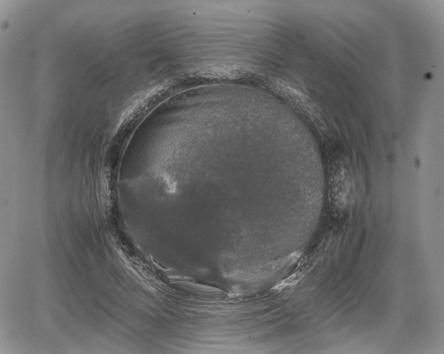 X0000067870688200604171224