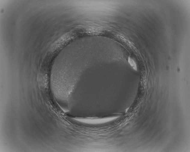 X0000067870689200604171224