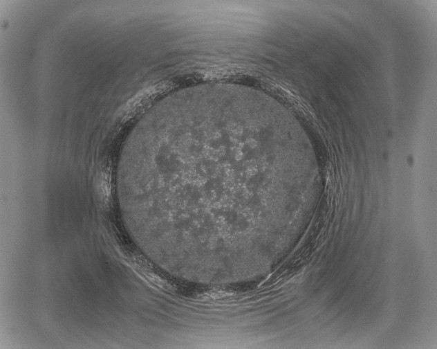 X0000067870691200604171224