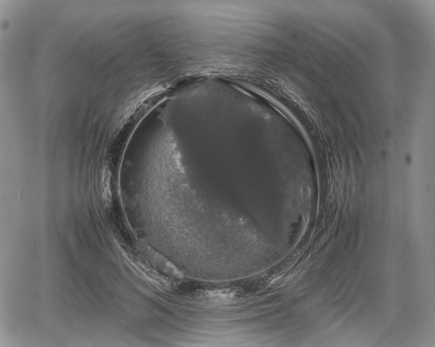 X0000067870692200604171224