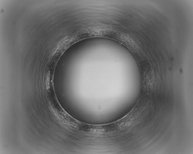 X0000067870694200604171224