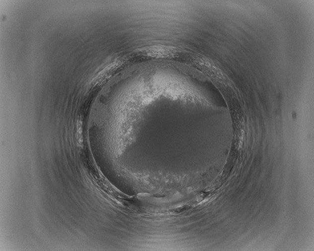 X0000067870696200604171224